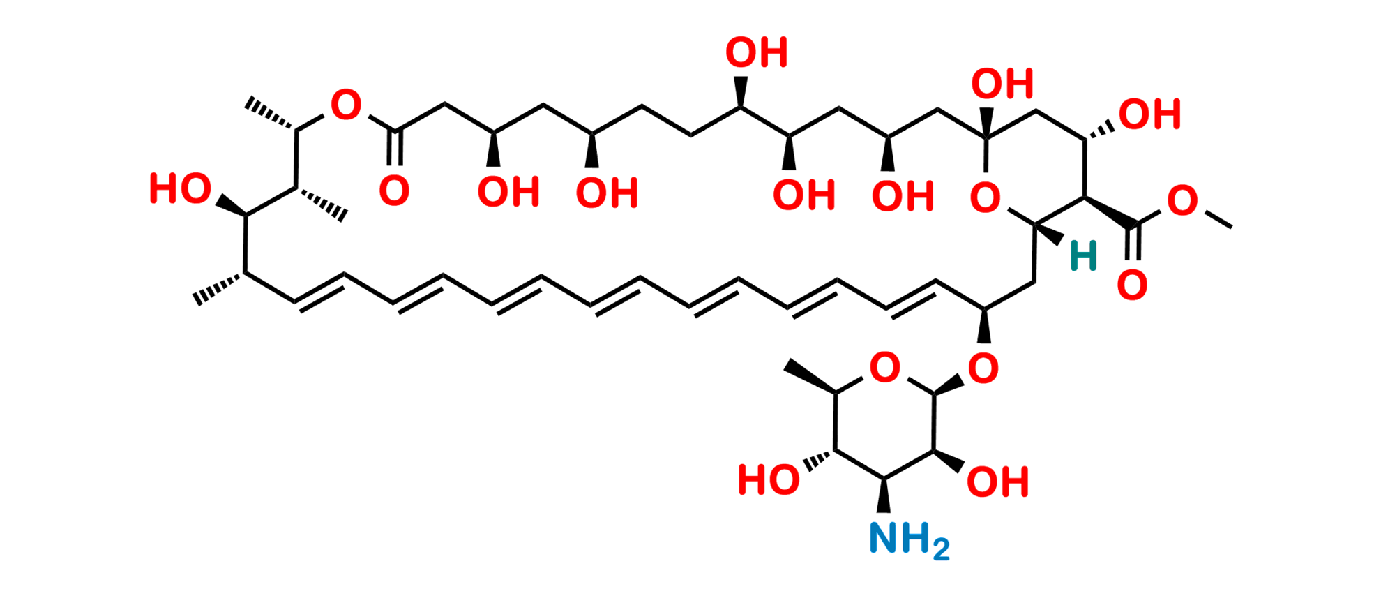 Amphotericin B Methyl Ester